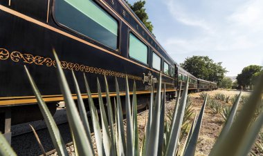 El Camino del Tequila