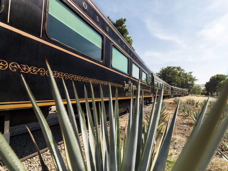 El Camino del Tequila